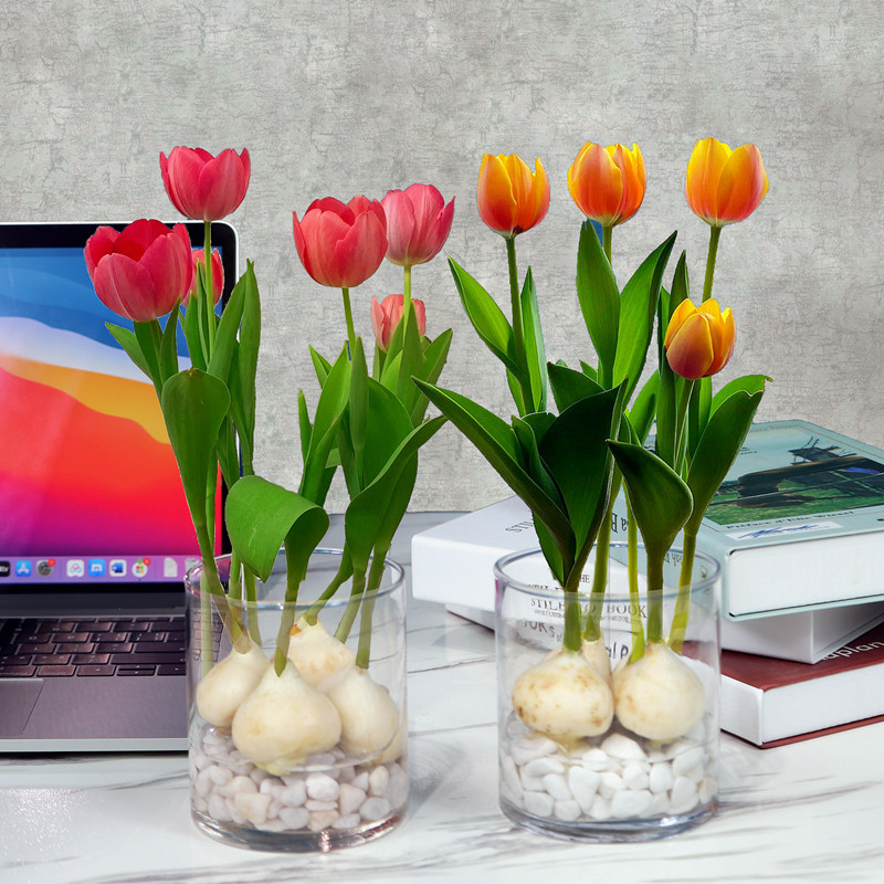 Tulip Bulbs, Flower Seeds, Easy-To-Live and Cold-Resistant Hydroponic Soil Culture Potted Plants for All Seasons, Double-Petaled Large Bulbs Imported from the Netherlands
