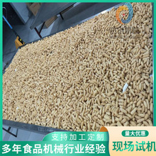 1000型糯米条油炸机器 型号齐全自动化油炸锅 江米条油炸锅厂家