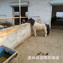 �T�˰��R�Bֳ���l �±����R�����R�����u�ľ��^�Rƥ���R