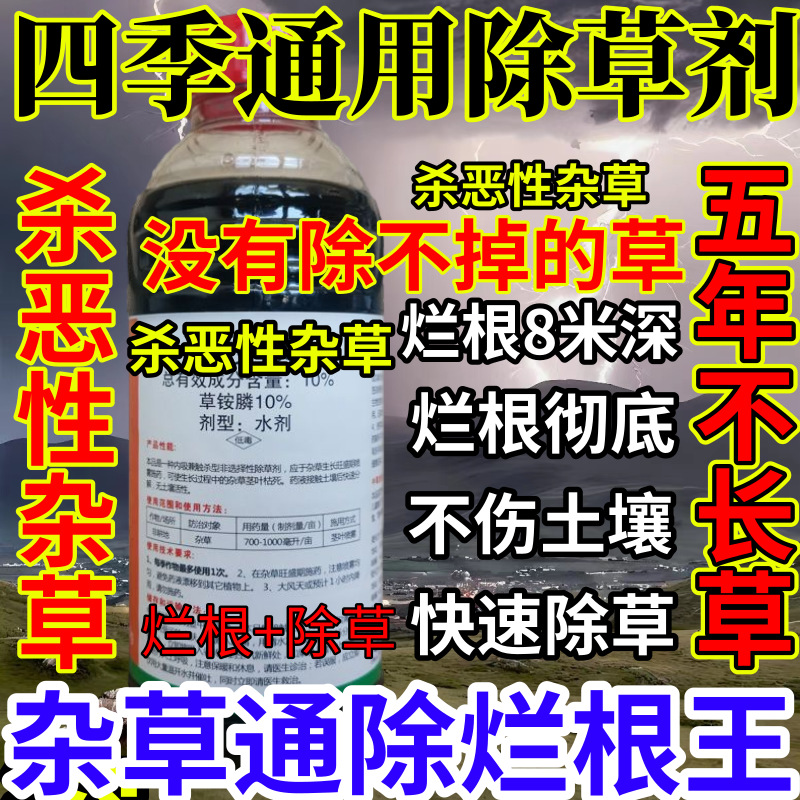 四季通用除草剂精草铵膦铵盐果园烂根小飞蓬耕地强效除草剂烂根王