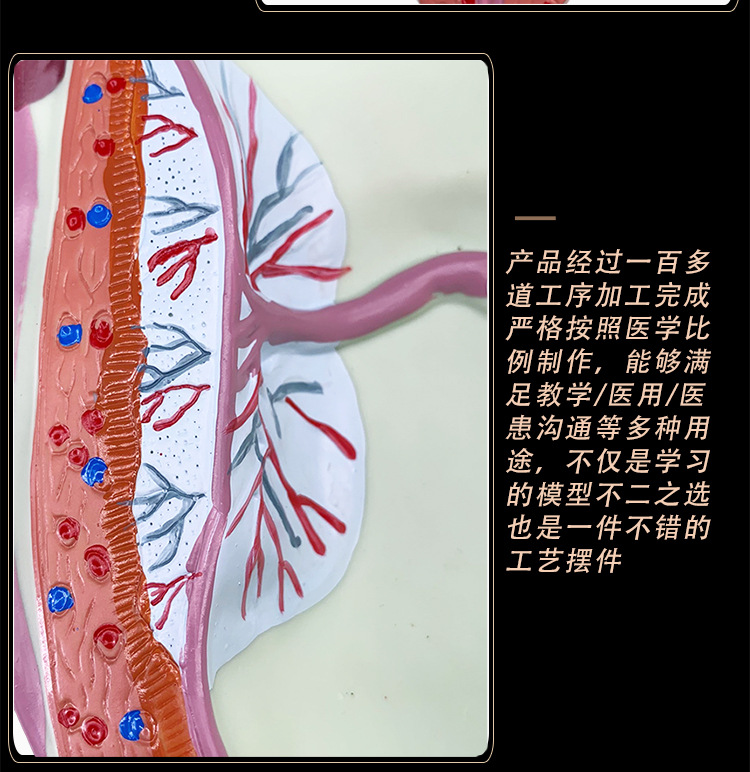 O1CN010AJhq52Kk6XqKSs8A_!!3578