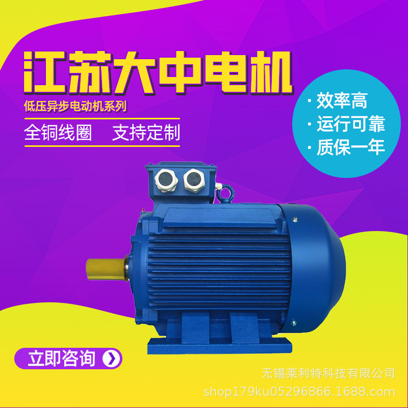 Jiangsu Dazhong Motor Ye3 Series Low-Voltage Three-Phase Asynchronous Motor 11Kw30Kw Direct Supply from the Manufacturer