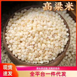 �������r�҃��|����s�Z�ּZ������������ܛŴᄾ�ʳ�Ã��|�ּZ