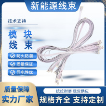 新能源汽车模块线束定制 工控储能连接线 防水耐高温线束来图加工