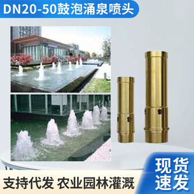 DN20-50规格的铜鼓泡喷头涌泉喷头 跨境批发喷泉景观喷头灌溉|ms