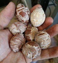 ��ˇ�YƷ��_�˵�/�ϙ��DIYӡ���ϙ�˰��Ʒ΢�ѻ����x�۵�覴�
