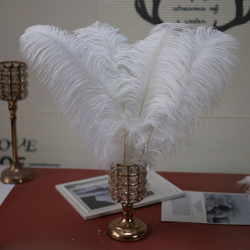 Plumas de avestruz bodas blancas de avestruz guía de plumas accesorios de fotos adornos rojo rosado en línea grandes plumas decoración