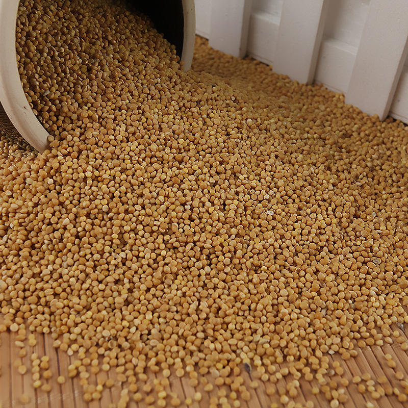 New yellow millet shelled millet tiger skin peony black phoenix small and medium parrot bird food bird food bird feed 5 pounds