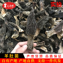 海菇顺干货 酒店款羊肚菌蘑菇 菌菇干货羊肚菌散装250g 批发代发