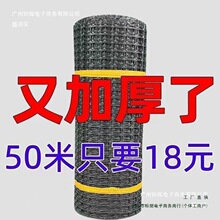 围栏鸡网果园鸭鹅养鸡养殖网网塑料玉米围栏网防护网养鸡网围栏