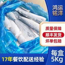 青花魚片新鮮速凍生制青花魚5kg箱裝冷凍青花魚片商超餐飲批發