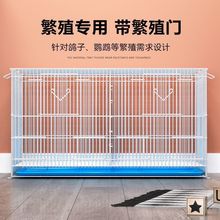 �J���u�\�Ӽ��ó���̖�Bֳ�\�r�u�g�����ӌ�����ٻ\�Ӽ��ܿ��ۯB