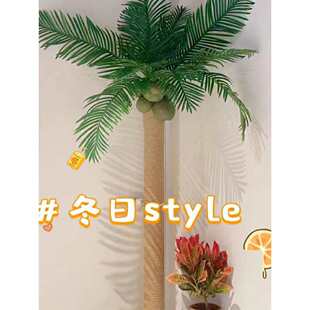 �̨��ˮ���ړ��b���Gֲ���~Ҭ�������ܵ��ڳ���������Ҭ�Ә�