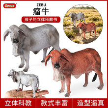 仿真动物模型儿童玩具认知实心瘤牛奶牛水牛黄牛犀牛西门塔尔公牛