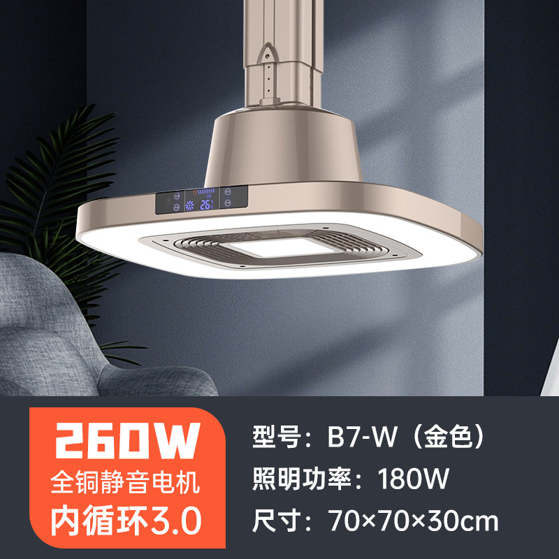 [외부열] 강력한 흡연, 초박형, 광각, 은은한 조명 및 하이라이트(골드 모델)