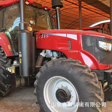 大棚王多功能水旱大马力四轮YTO 拖拉机农用四驱耕田地机