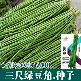 蔬菜种子;其他农业
