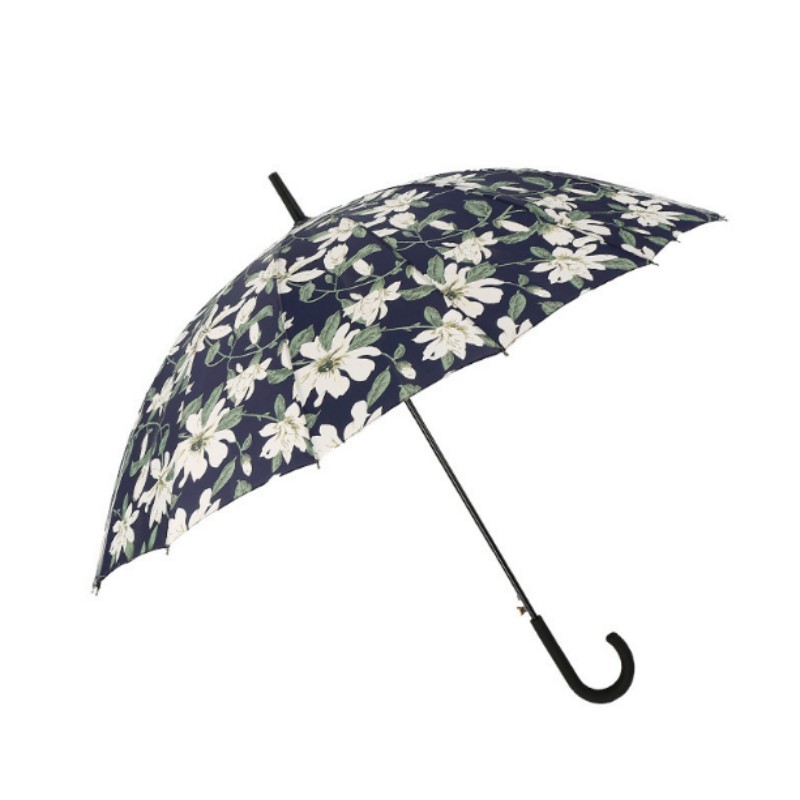 �����պ�С���°ٺϻ�����ɡ�ڽ��۵���ɹ����ɡ��Ůѧ������