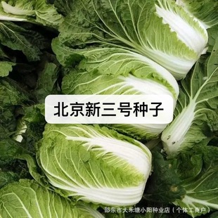 ��������̖��ײ˷N�����＾�����ײ��ѿ���ͥԺ�����߲˷N�Ӵ�ȫ