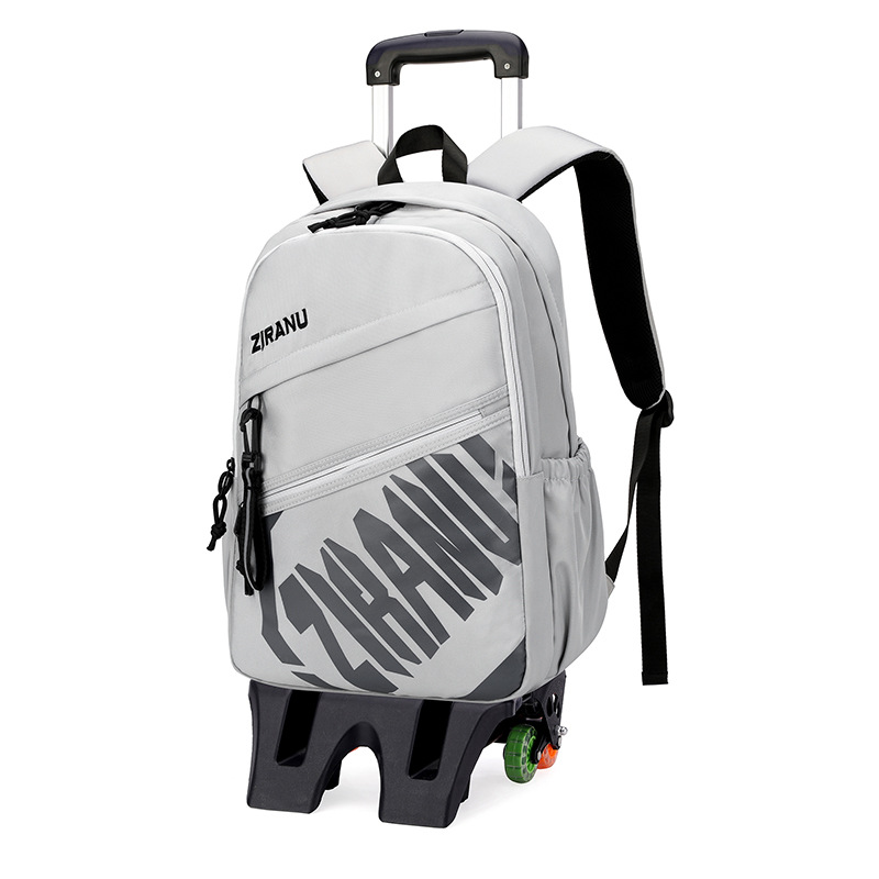 Mochila de pescado natural para niños de grado 3 - 6 con ruedas para subir escaleras, mochila de secundaria secundaria