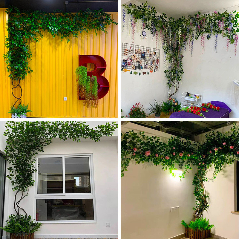 树藤榕树叶树叶树枝假叶子藤条藤蔓植物客厅室内装饰绿植绿叶