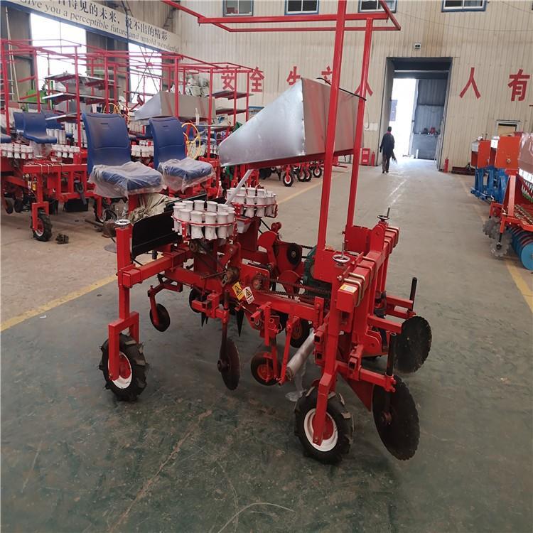 Máquina de trasplante de plántulas de patatas dulces Máquina de trasplante de plántulas de acero inoxidable Vegetales colza plantación de col una mina image 4