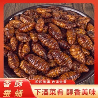 罐装香酥麻辣蚕蛹熟食罐装油炸即食新鲜下酒菜香辣休闲追剧零食