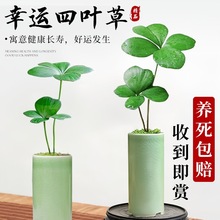 ī�����F�����\���~������С����ˮ��ֲ���k��������U��Gֲ�辰