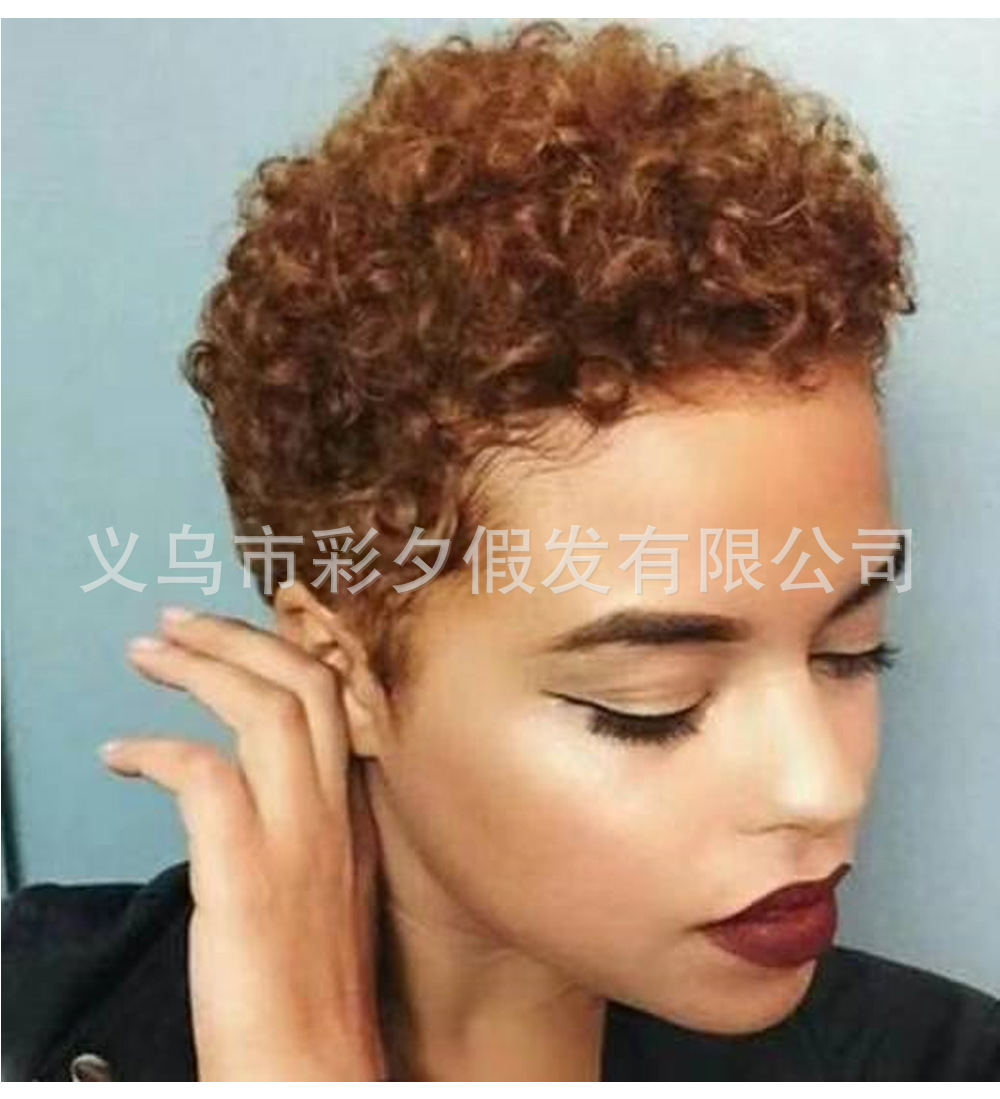 Peluca de comercio exterior de Europa y América explosión pequeño rizado pelo falso pelo corto de las mujeres africanas