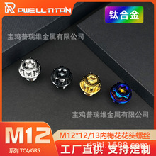 ⁺Ͻ�M12*12/13���m���^�ݽz�Ś���������^VespaGTS300�X݆���w