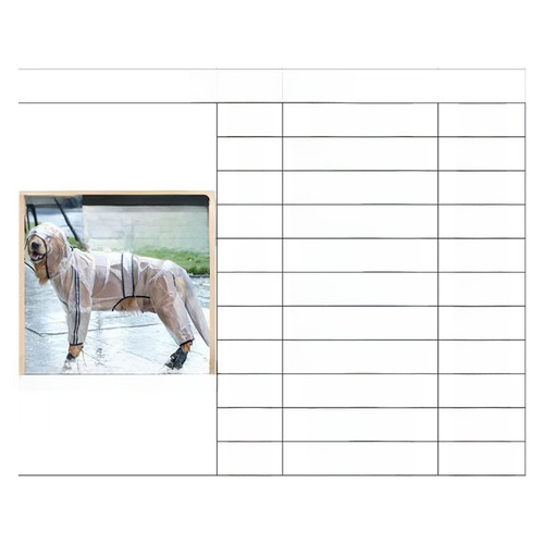 Spring and Summer New Wholesale Pet Outdoor Medium and Large Dog Four-Legged Big Dog Hooded Dog Waterproof Transparent Raincoat