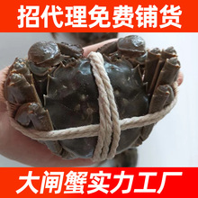 KݴlзllдYƷM؛˽Fُrr