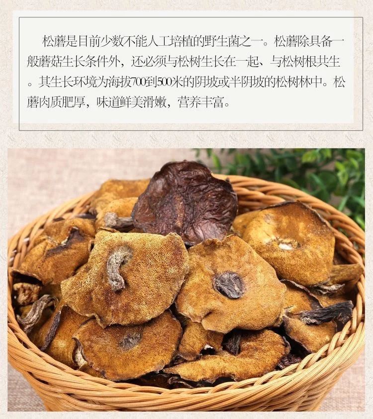 东北松蘑菇野生松蘑新鲜松树蘑菇干货粘团子松树菇松蛾子山珍500g-阿里巴巴