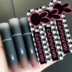 Cappuvini反転マカロンパウダー感唇泥霧面ベルベットマット化粧白唇釉薬口紅卸売り