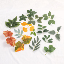 ����ֲ�������~õ���~С���~ ����ڒ��b� ���컨ֲ��������~��