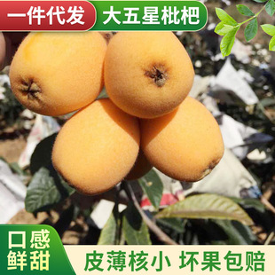 Кусок фруктов Sichuan Loquat Panzhihua Mi Yi трава подарочная коробка установка из больших фруктов подарок свежие фрукты