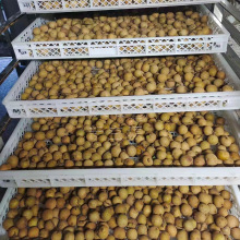 ���A��əC ���۸ɺ�ɷ� �՚�����֦ˮ�����Lѭ�h���� 늿���