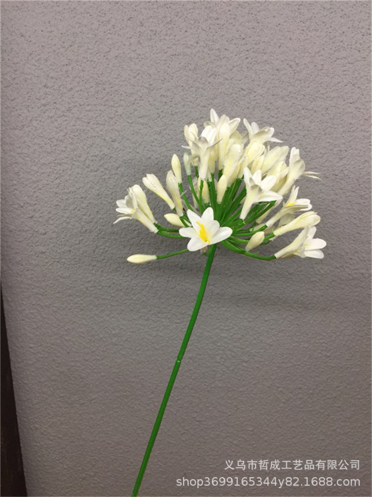 TB2m_jxwyOYBuNjSsD4XXbSkFXa_!!