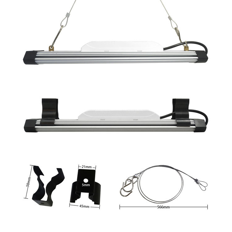 LEDֲƺ׹Ҷ˻ֲˮಹ