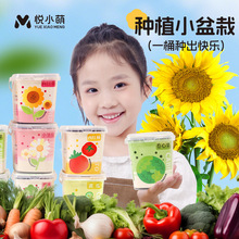 ��ͯ�Nֲ����С�����׃��@С�W���Ϲ��߲˻��ܲ���ֲ�����L�^���