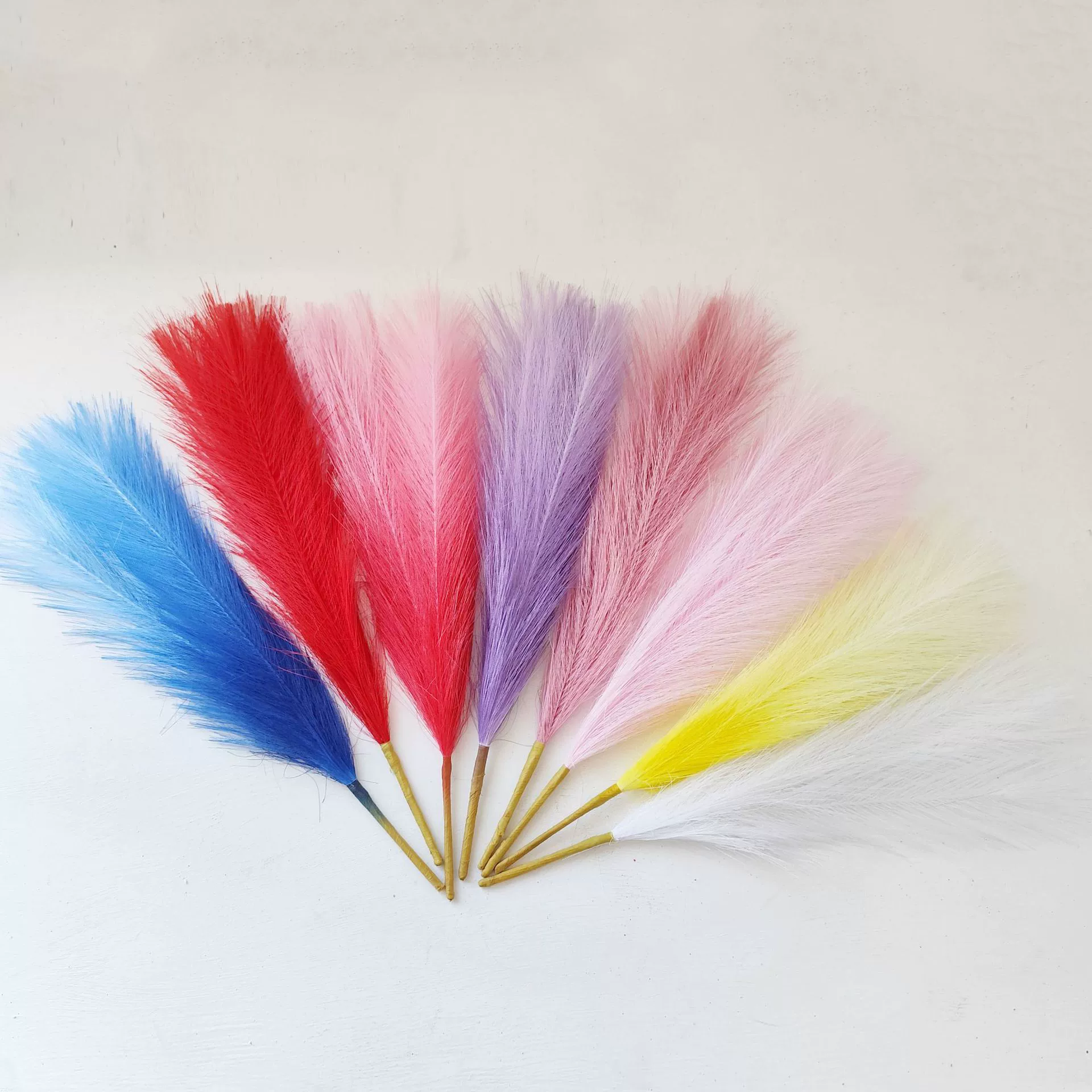 Wedding cross-border reed grass bouquet living room interior window decoration ornaments pampas grass