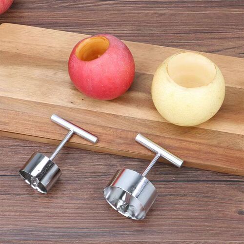 Stainless steel fruit corer tool corer