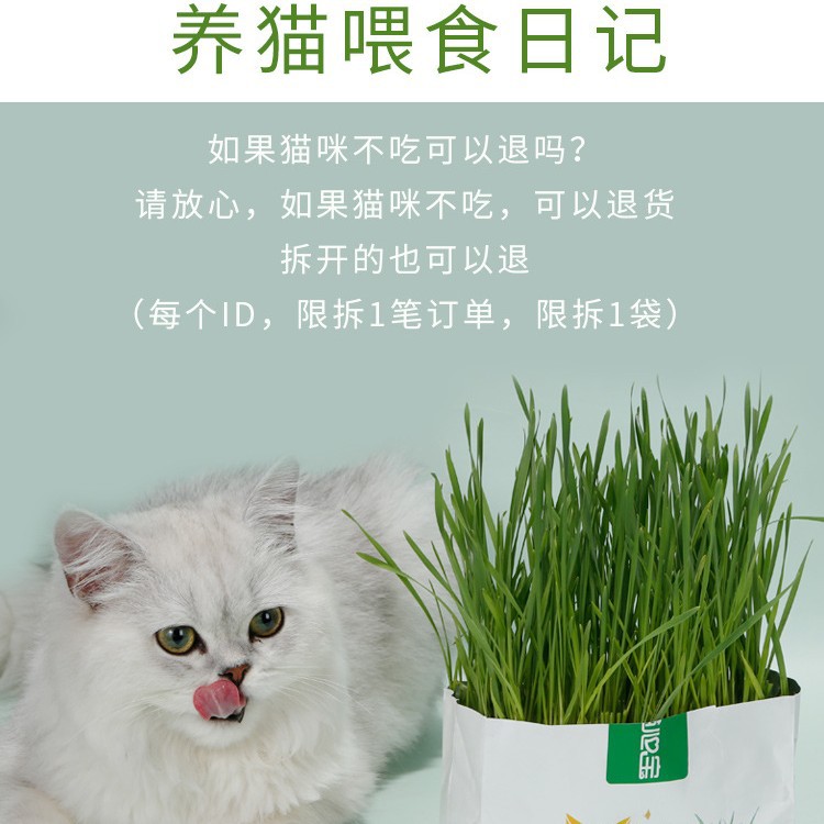 Hierba para gatos nueva bolsa de cebada en maceta perezosa gatito hidropónico sin suelo herbívoro bola de pelo hierba snacks para gatos