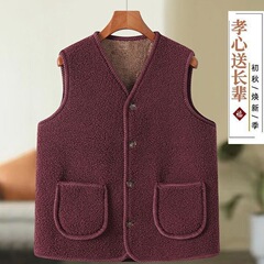 女性用粒状ベルベット暖かいベスト、ベルベット厚みのあるベスト、秋冬の新しいスタイルのベスト、ゆったりとした大きいサイズ、外国風のアウターベスト