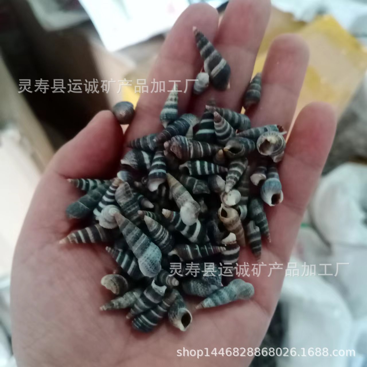 微信图片_20220919164853