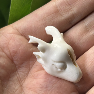 ��Ȼ¹��diy��������ͨ���^��������һ�w¹�Ǹ�����Ƭ�������