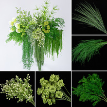 ��c�Gֲ����횲ݱ����廨·��֦�b�Y�L��ѿ�ٻ��׾Gɭϵ