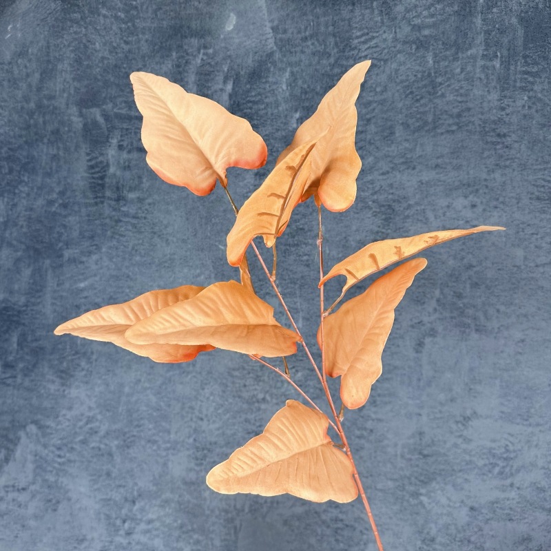 Orange Tabi
