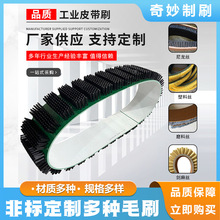 厂家直供工业输送带皮带刷植毛式皮带刷 毛刷带帆布机械皮带刷