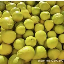 ÷�hɳ����2.8�2.3�����÷��ɳ�����������l